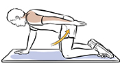 Man on all fours with left arm lifted up to the back doing reach and hold exercise. 